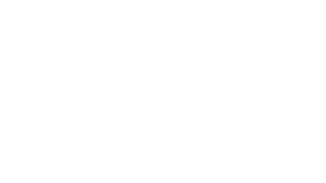 The Chicago Crusader