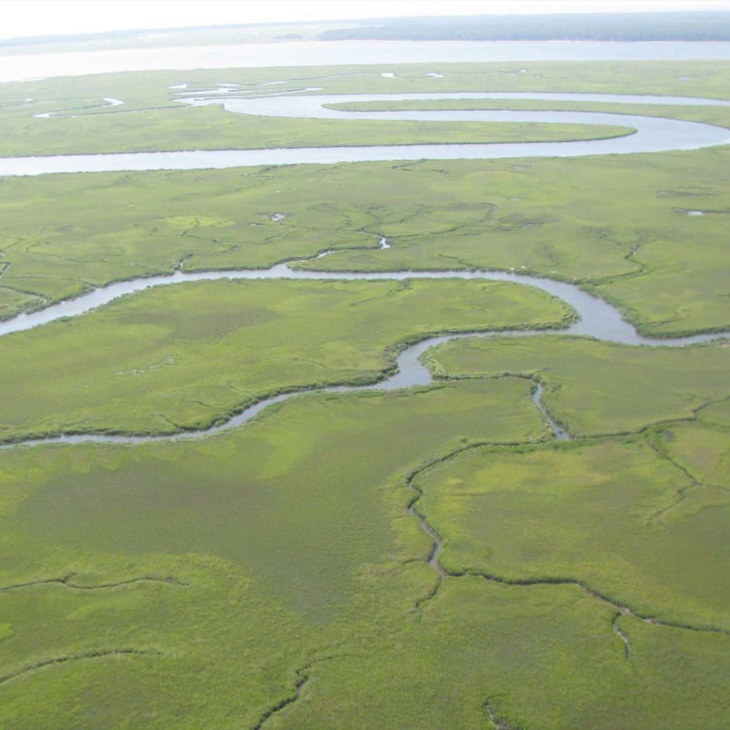 Indiana-wetlands