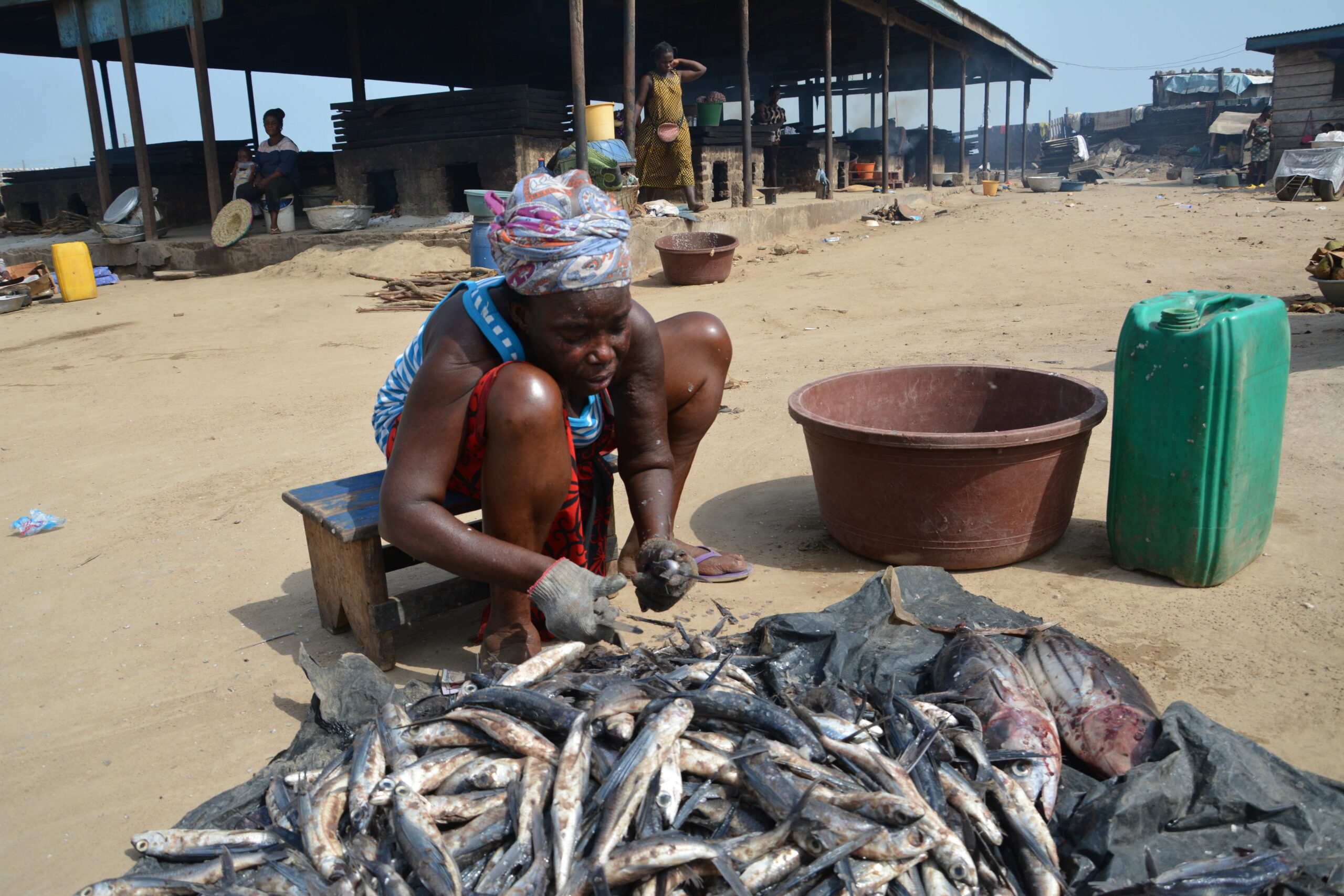 A WOMAN AT a fisherman’s wharf in Tema, Ghana, cleans fish from the morning’s fresh catch.