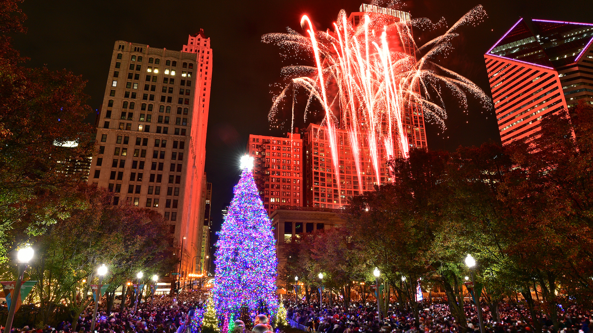 Taylor Electric Company lights the City of Chicago Christmas Tree