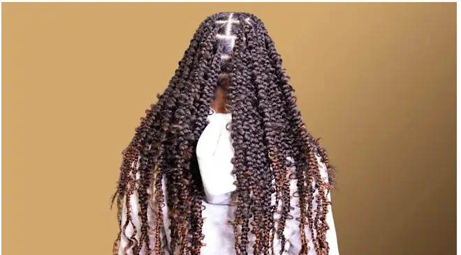 Braids 1