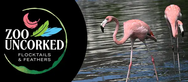 Zoo Uncorked 5.10.25