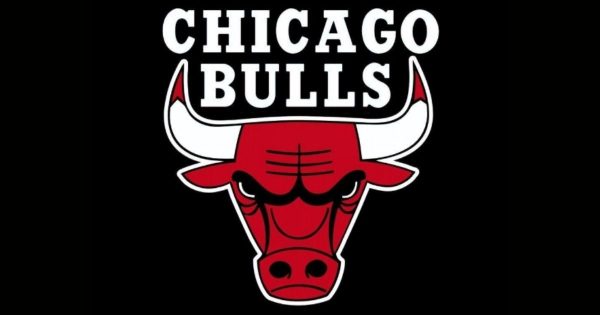 Chicago Bulls Logo 2025