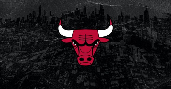 Chicago Bulls logo