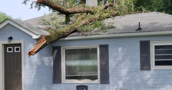 A large tree limb crashed onto the roof of a Gary home as powerful storms swept through lake County.